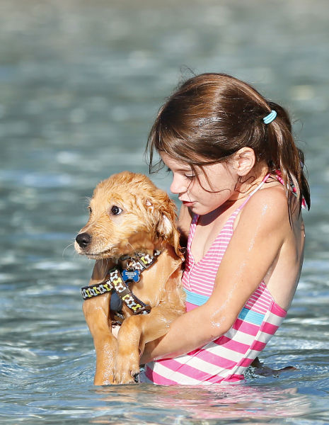 Pooch Paddle at Riverside Pool
